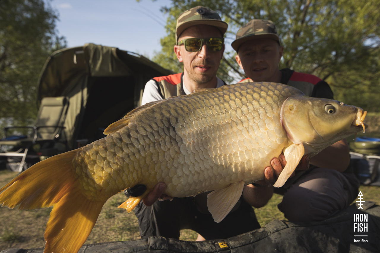 Iron-Fish_04_19__113