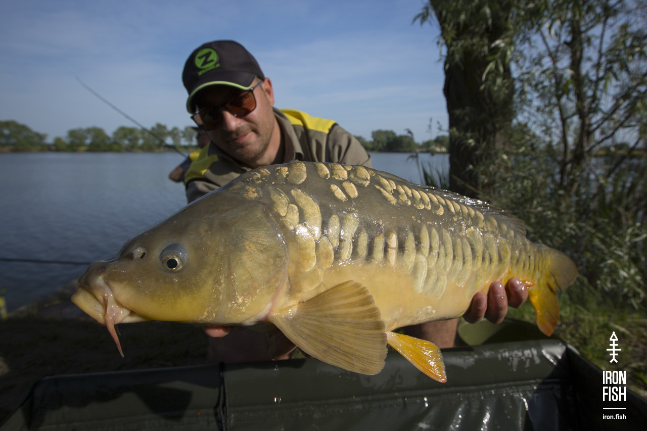 ironfish_2etap_2019__100