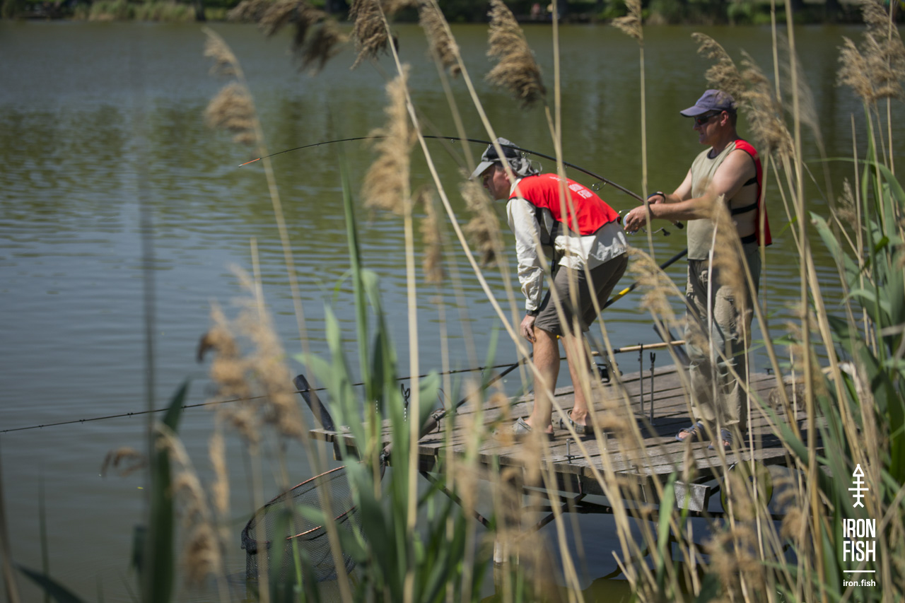 ironfish_2etap_2019__13