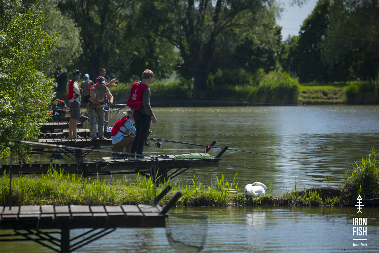 ironfish_2etap_2019__17