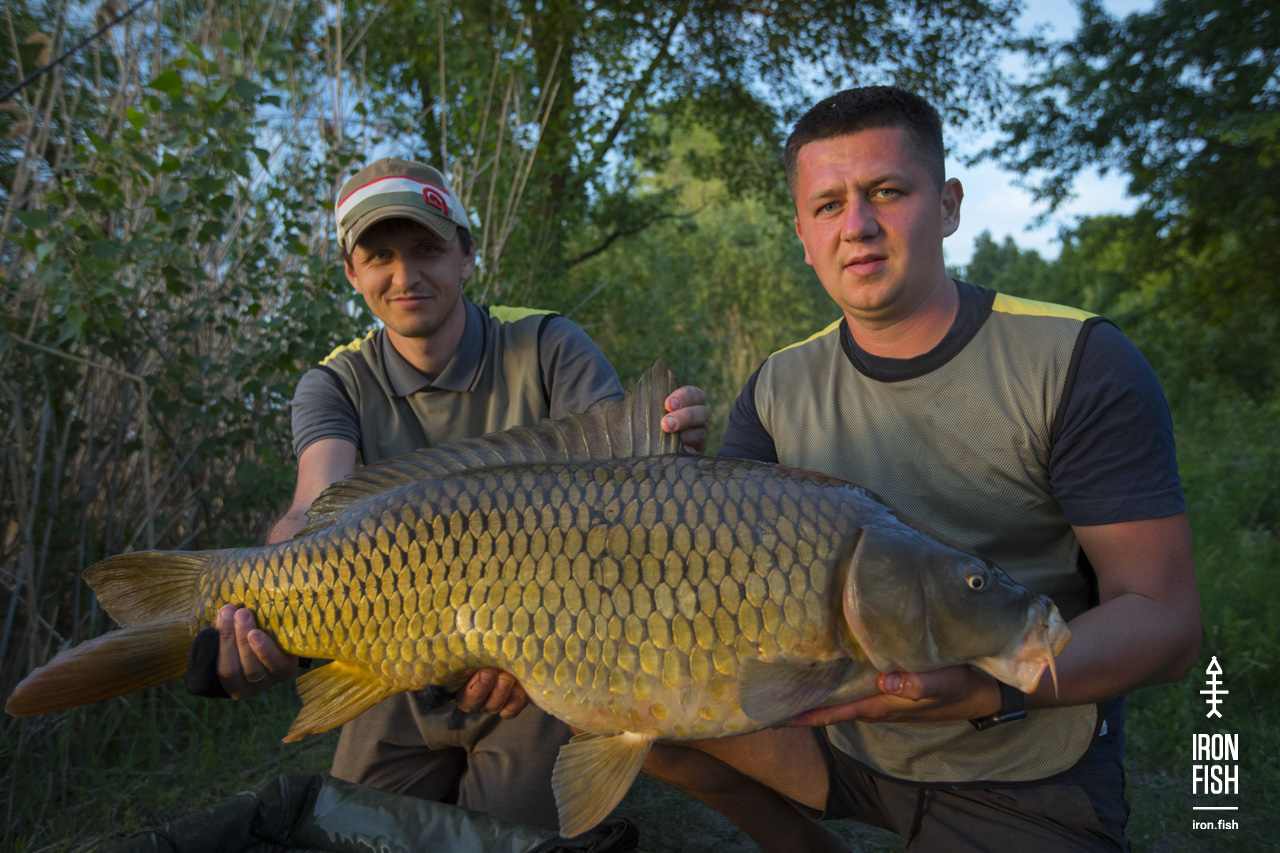 ironfish_2etap_2019__19