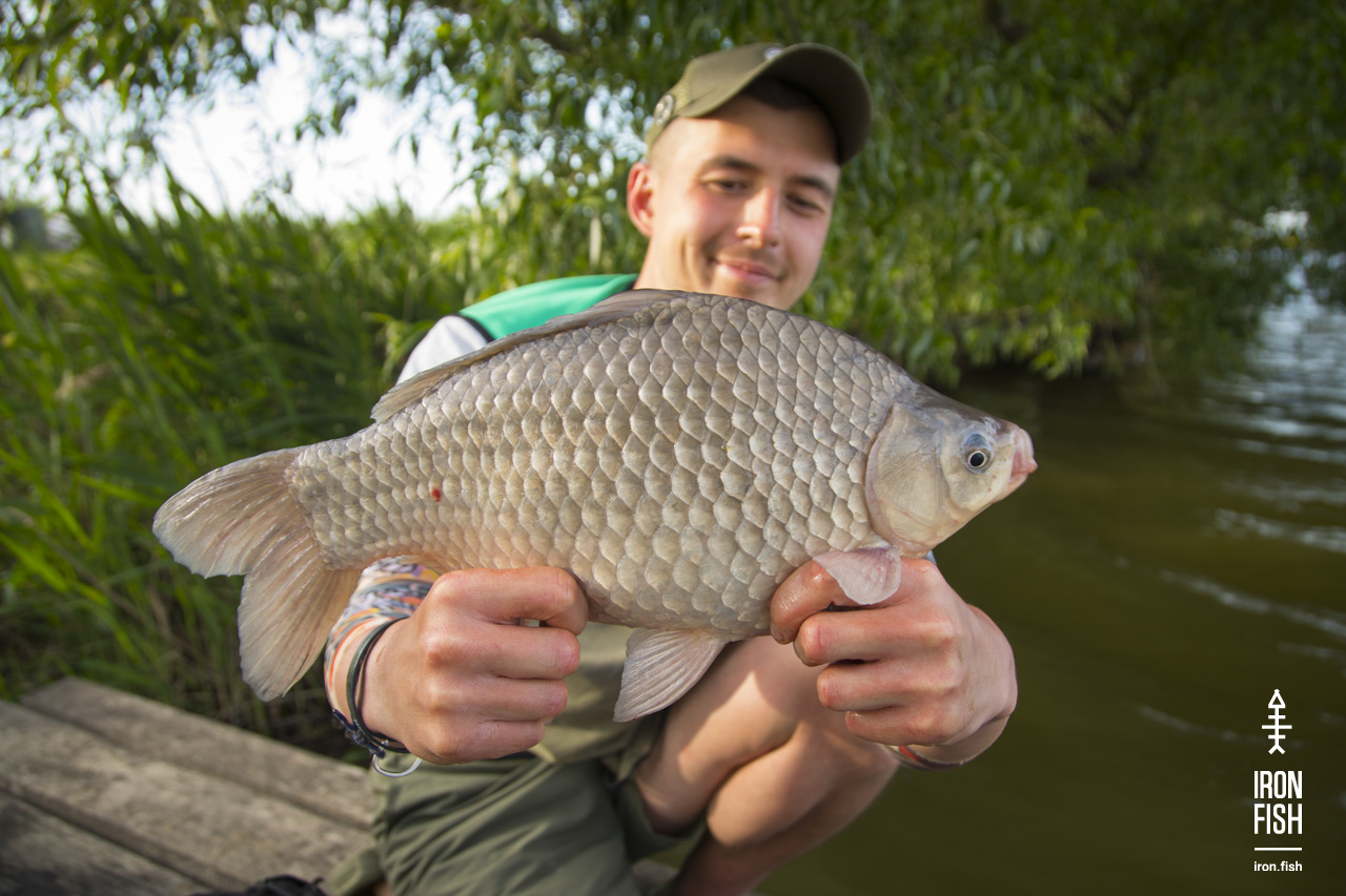 ironfish_2etap_2019__2