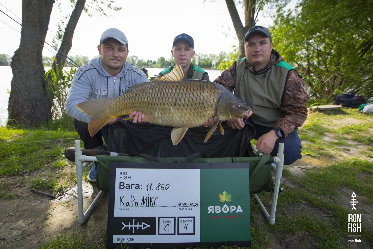 ironfish_2etap_2019__33