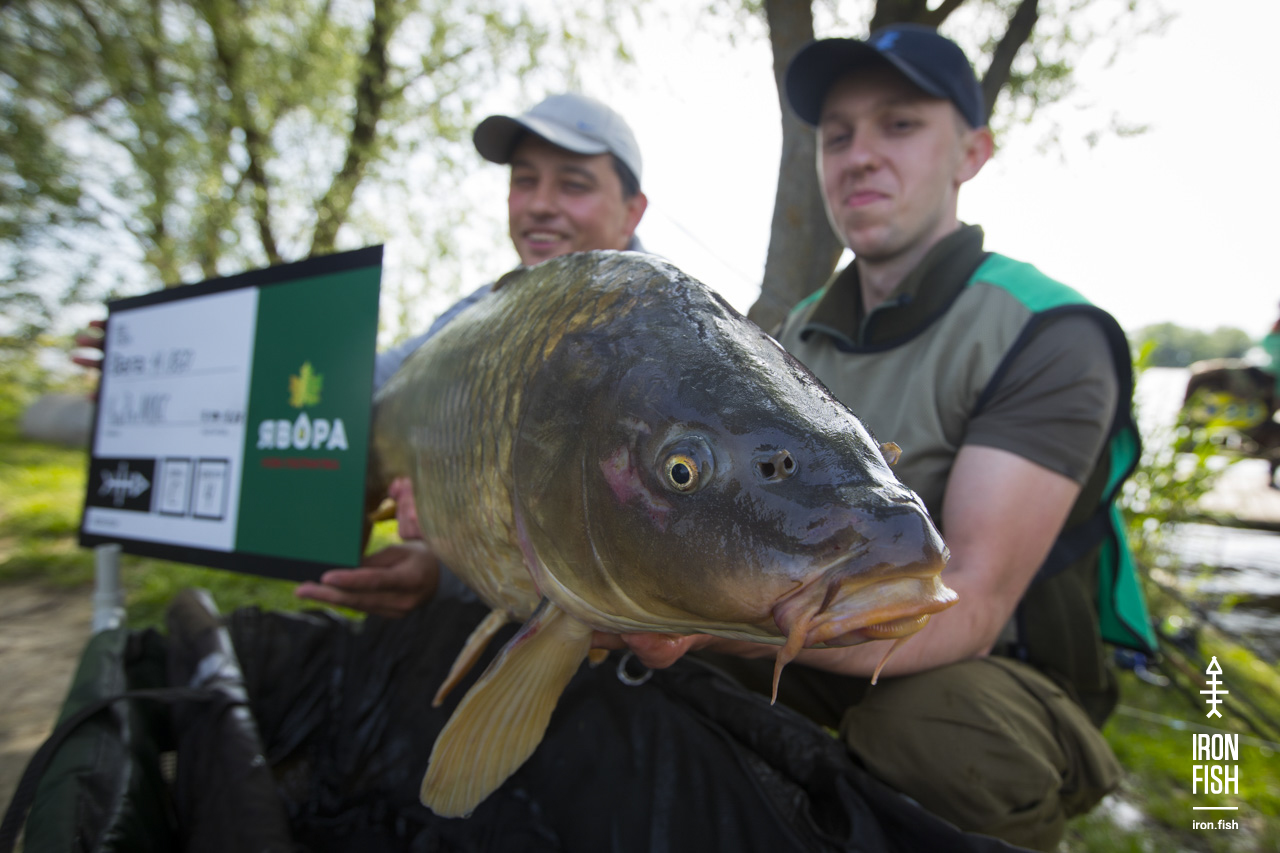 ironfish_2etap_2019__34