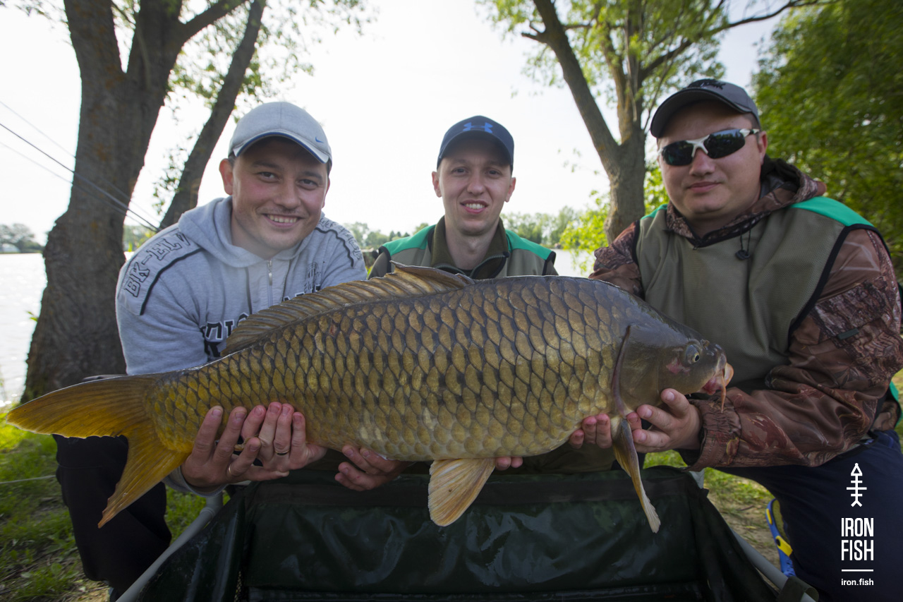 ironfish_2etap_2019__35