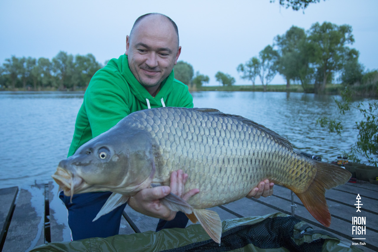 ironfish_2etap_2019__4