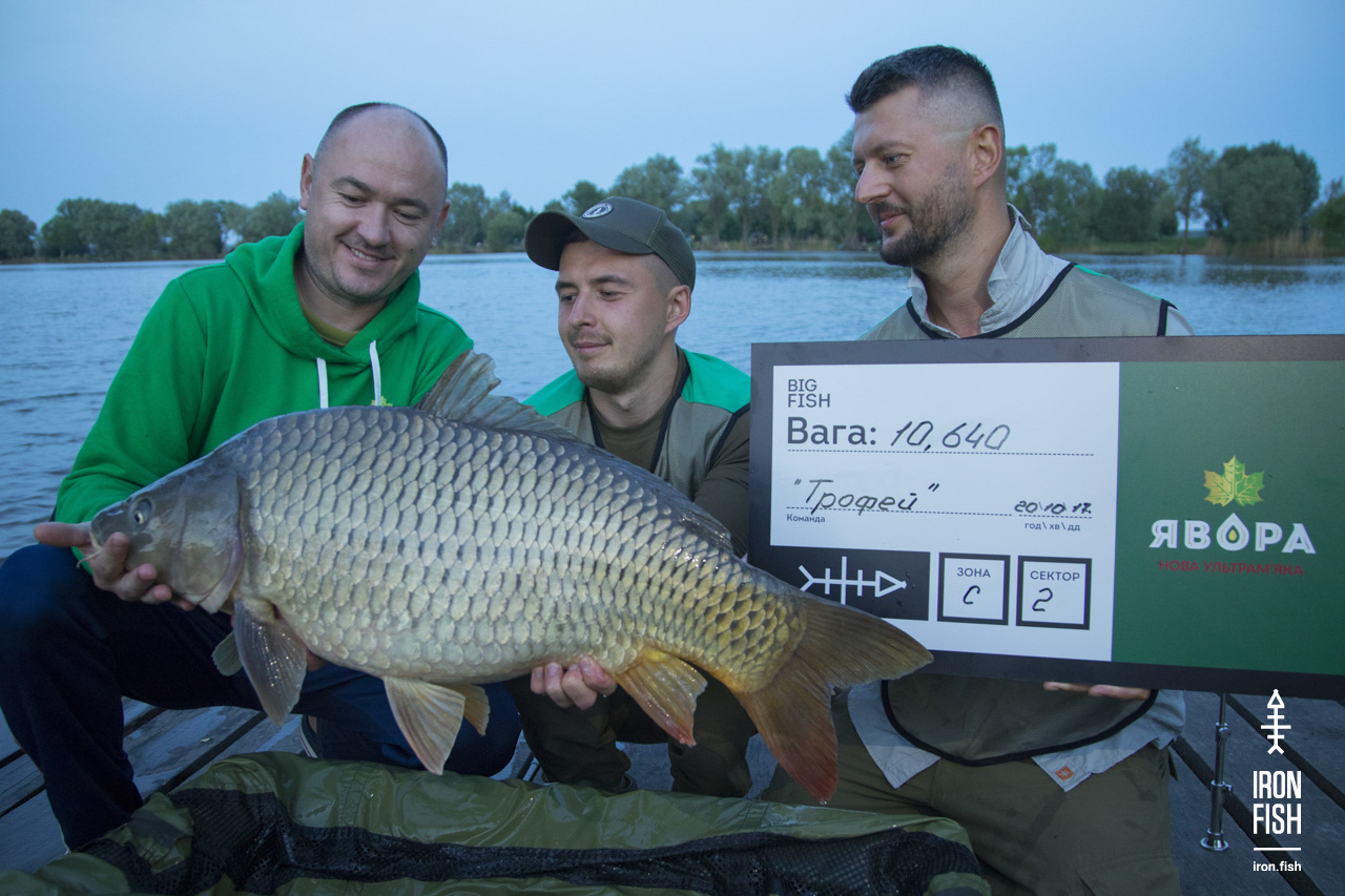 ironfish_2etap_2019__5