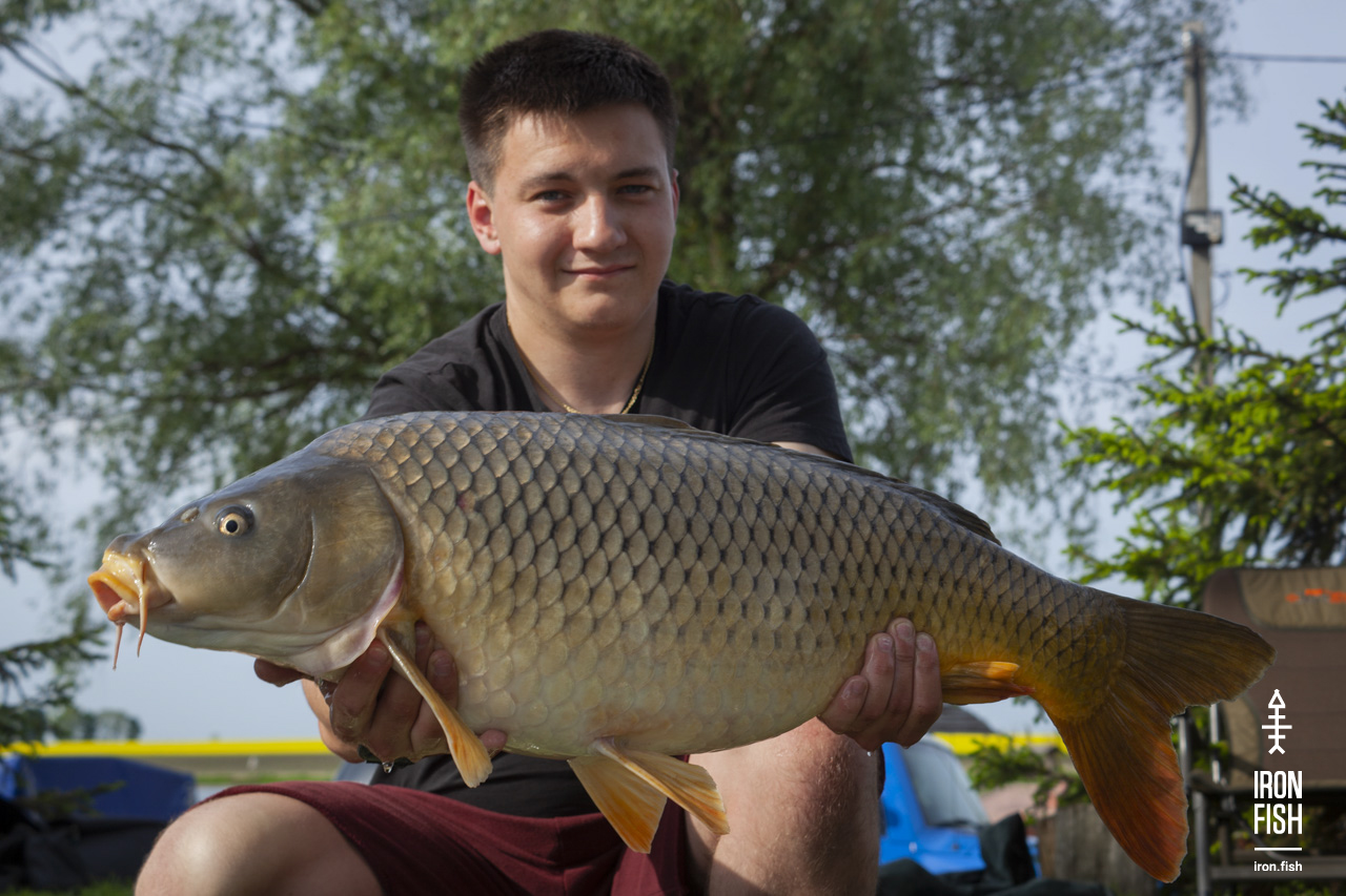 ironfish_2etap_2019__85