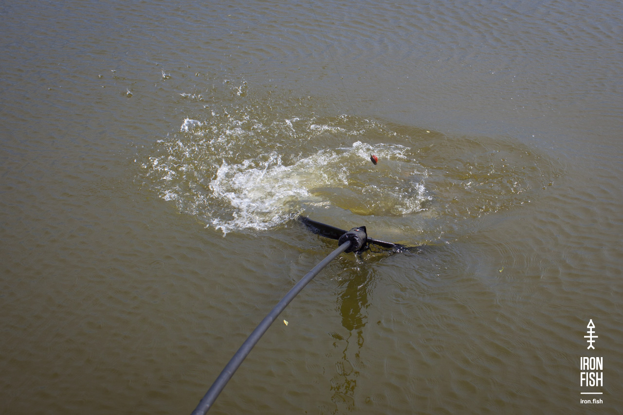 ironfish_2etap_2019__87