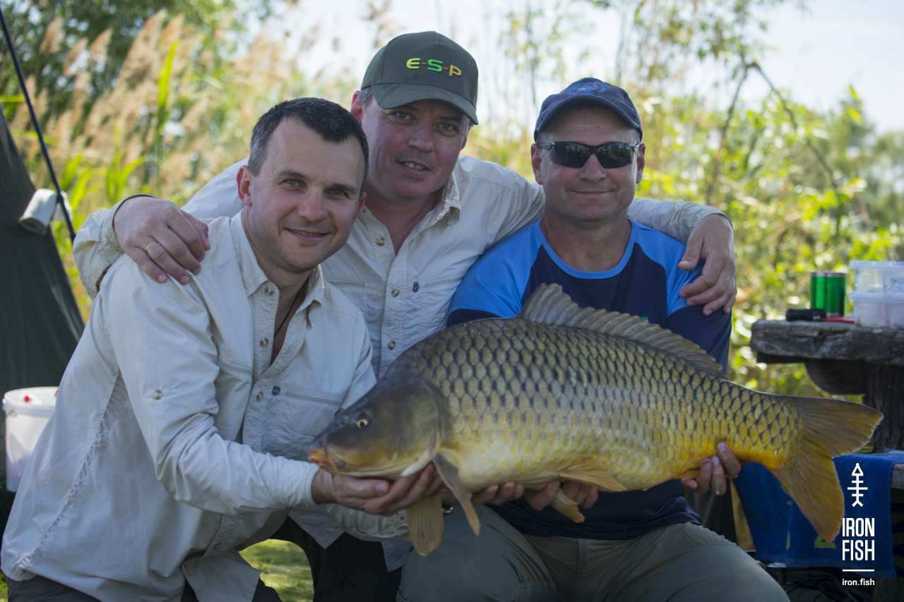 ironfish_2etap_2019__9