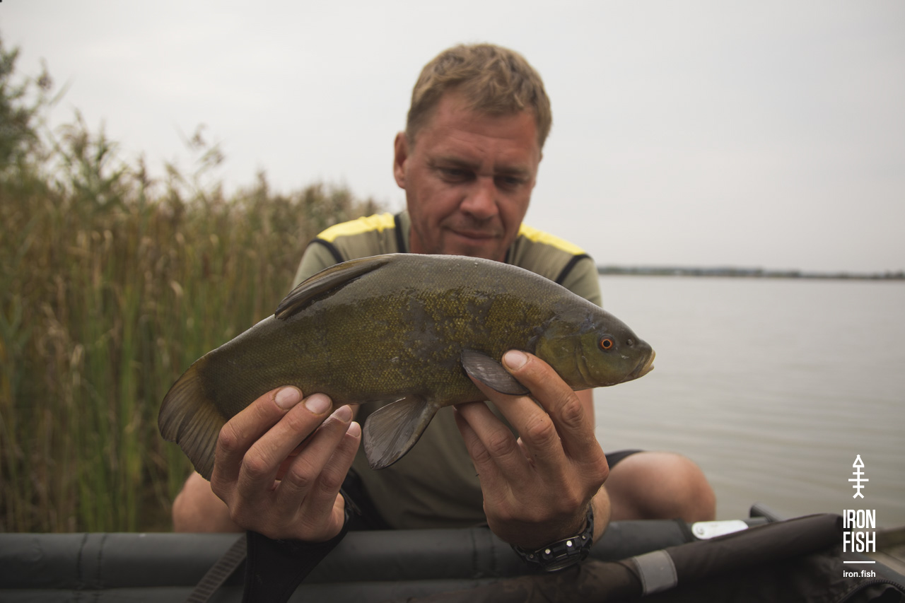 iron-fish_7_2018__32