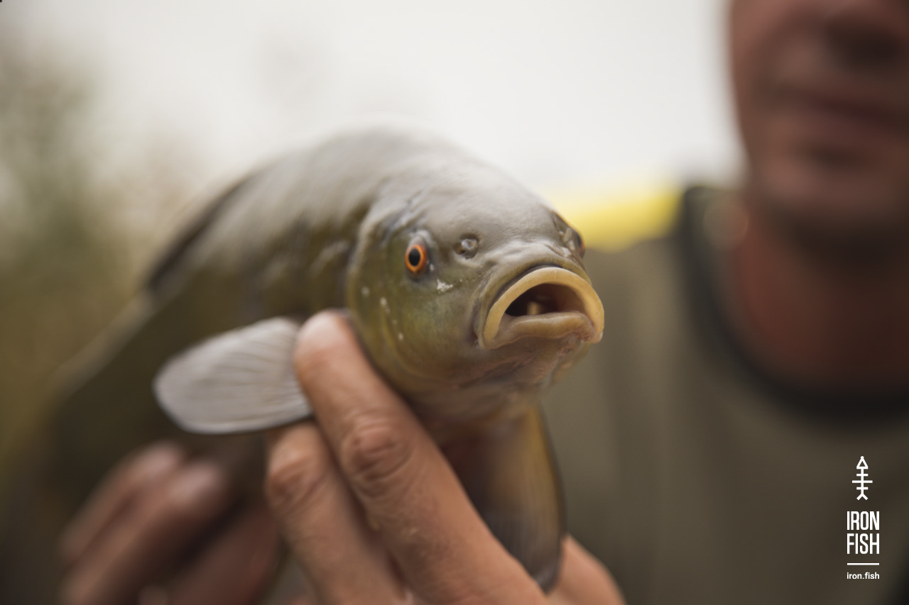 iron-fish_7_2018__34