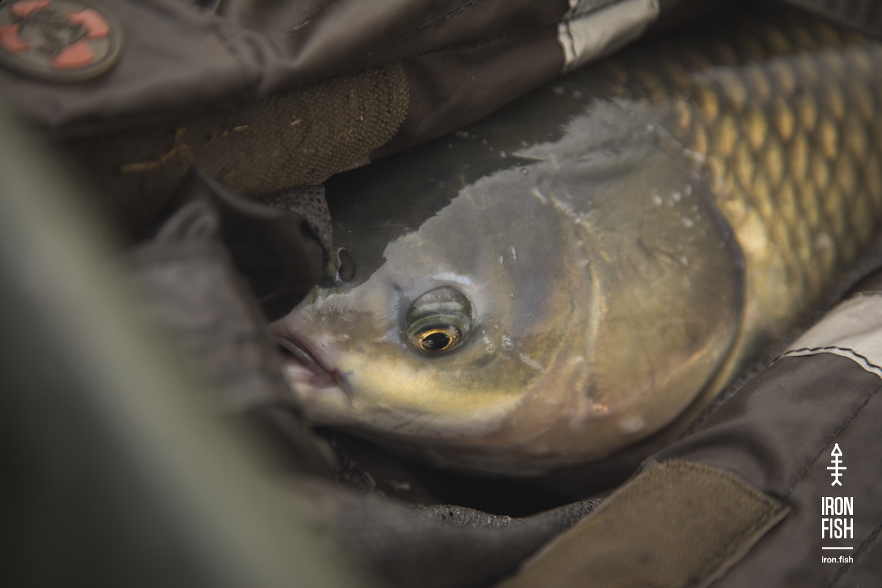 iron-fish_7_2018__35