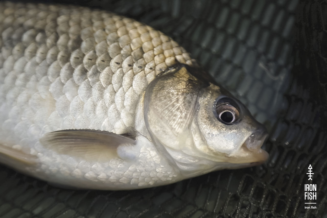 final_battle_2019__16