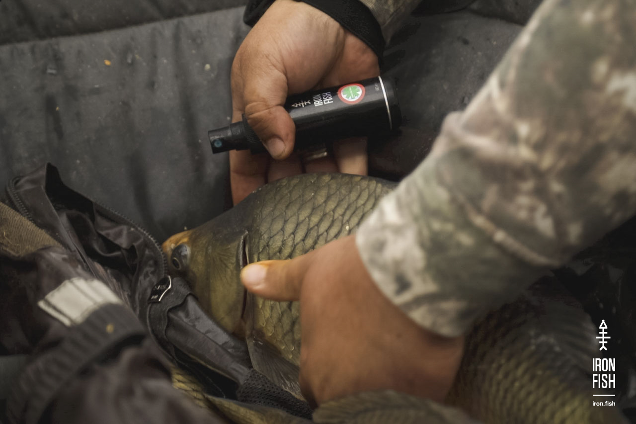 final_battle_2019__31