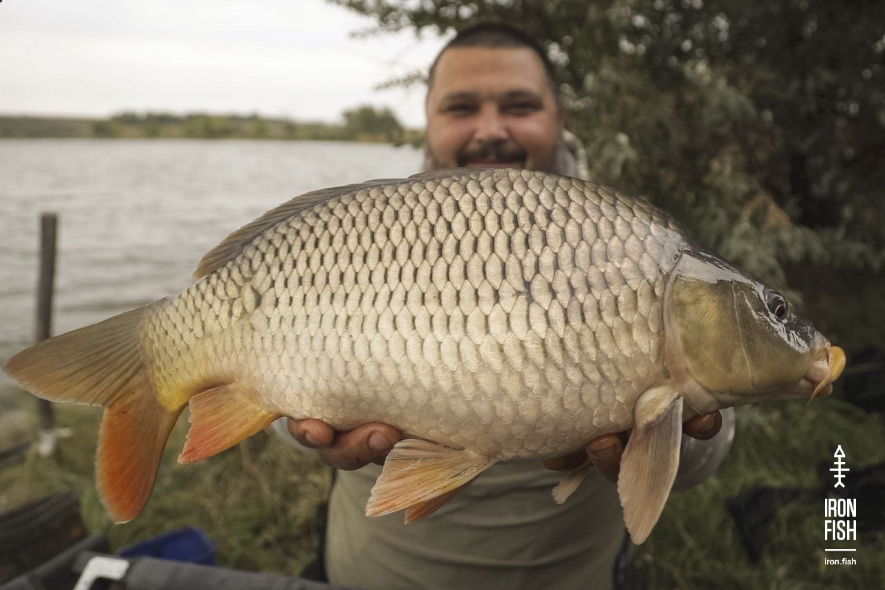 final_battle_2019__32