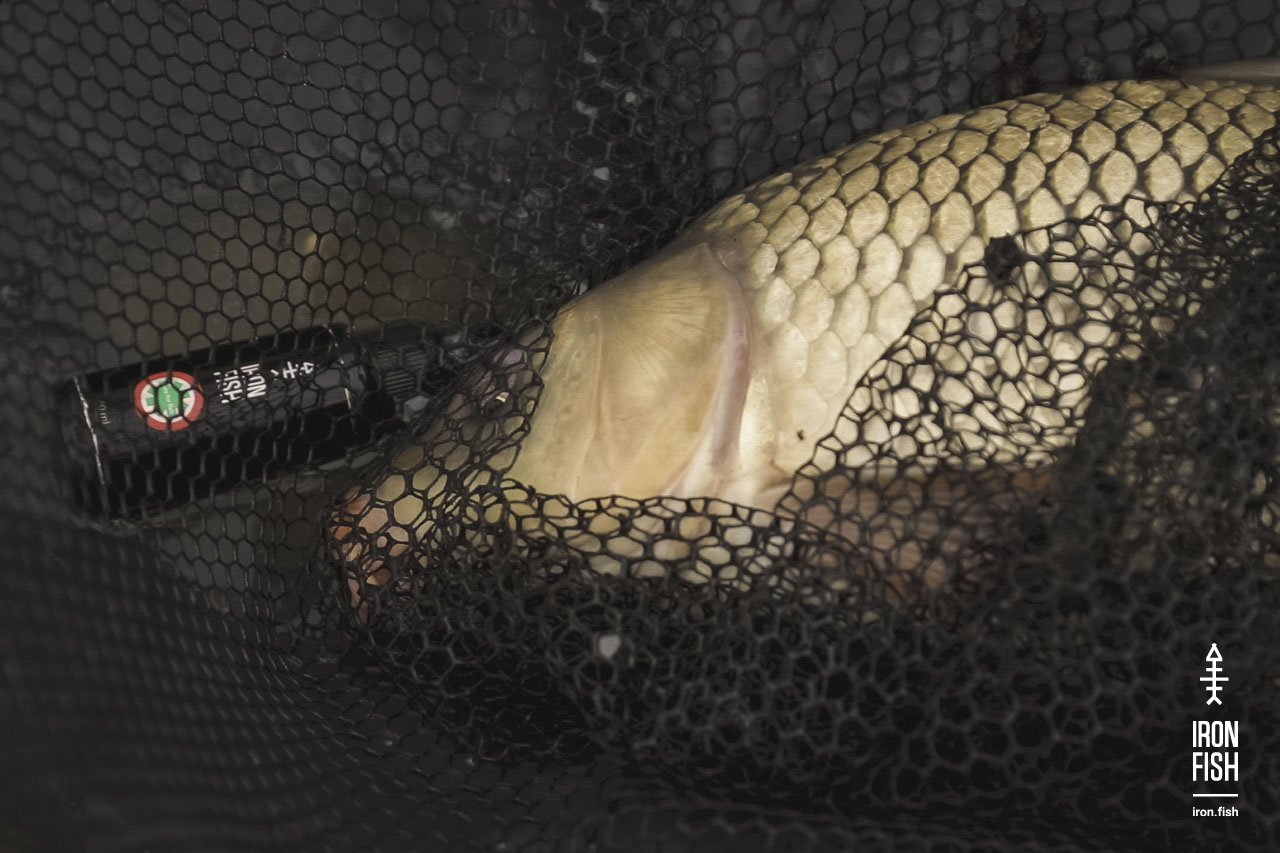 final_battle_2019__36