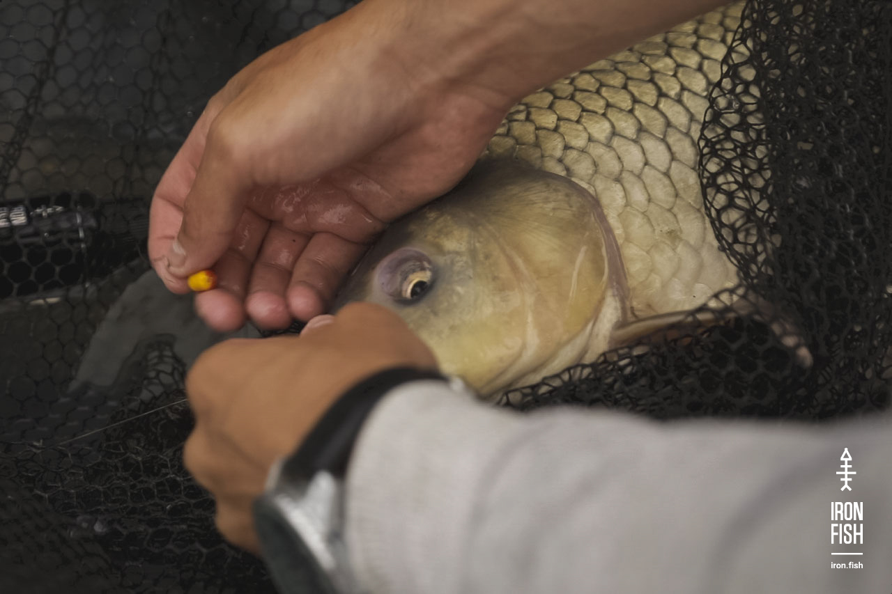 final_battle_2019__37