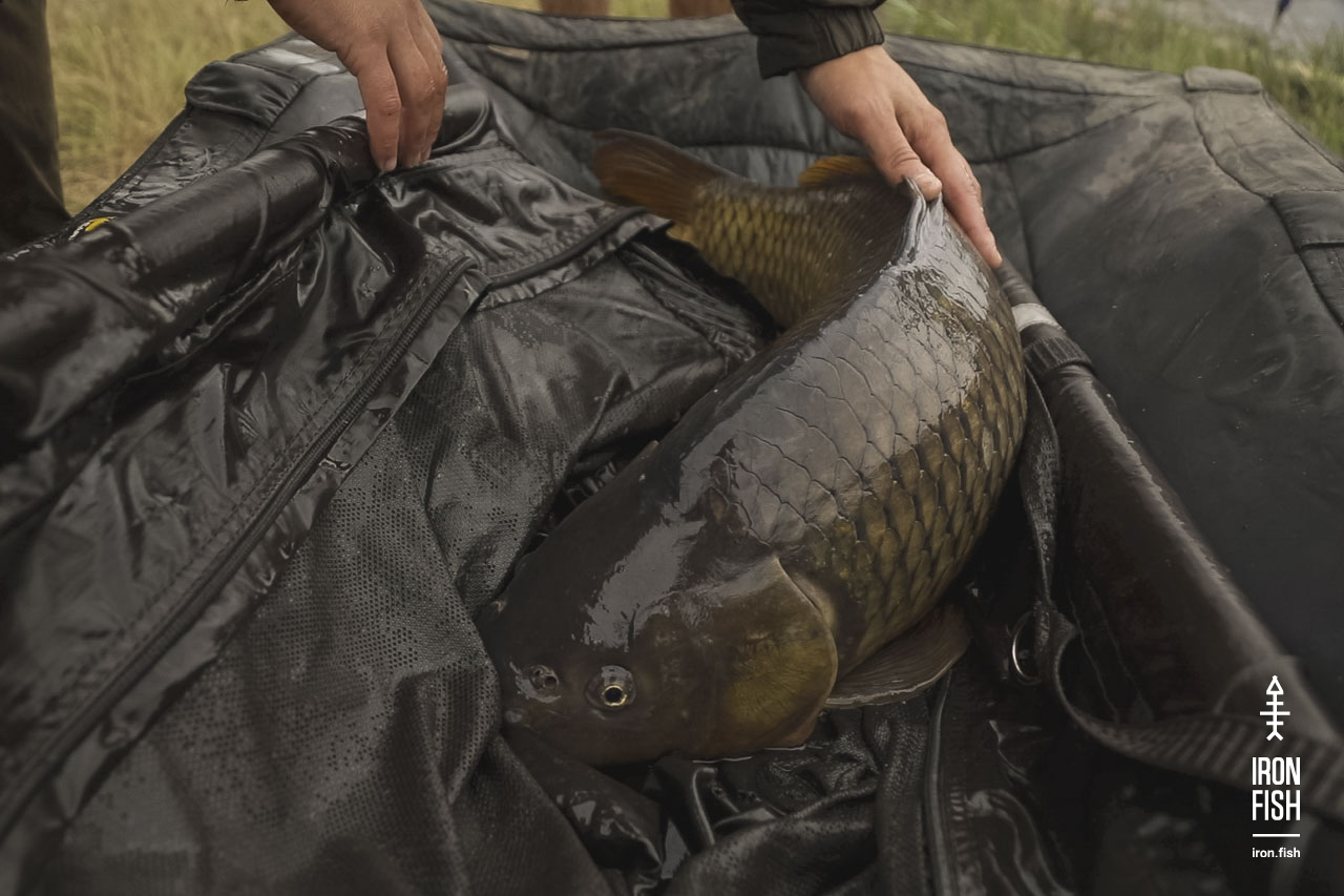 final_battle_2019__38