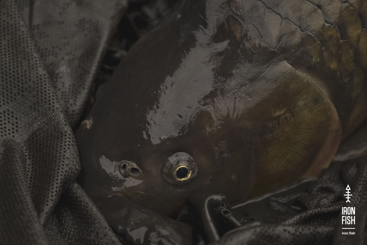 final_battle_2019__39