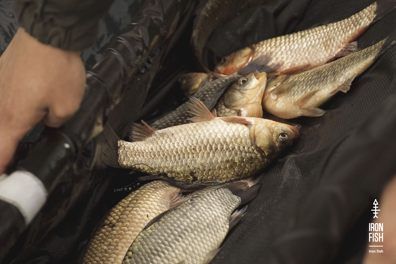 final_battle_2019__40