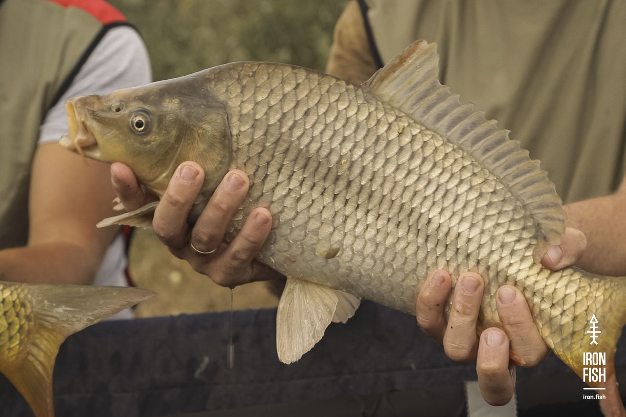 final_battle_2019__41