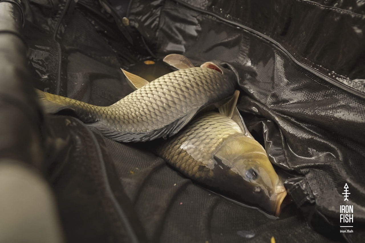 final_battle_2019__42