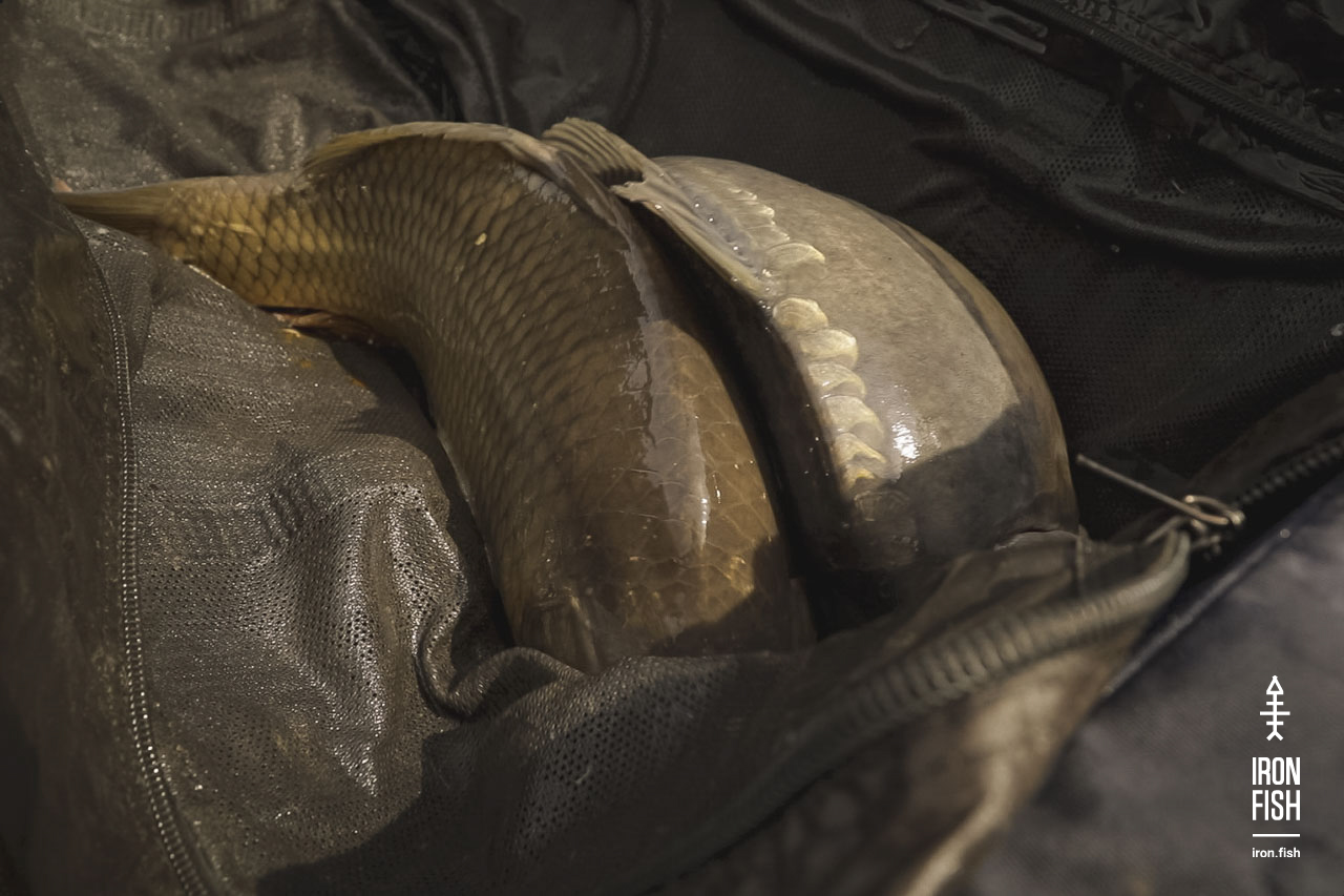 final_battle_2019__43