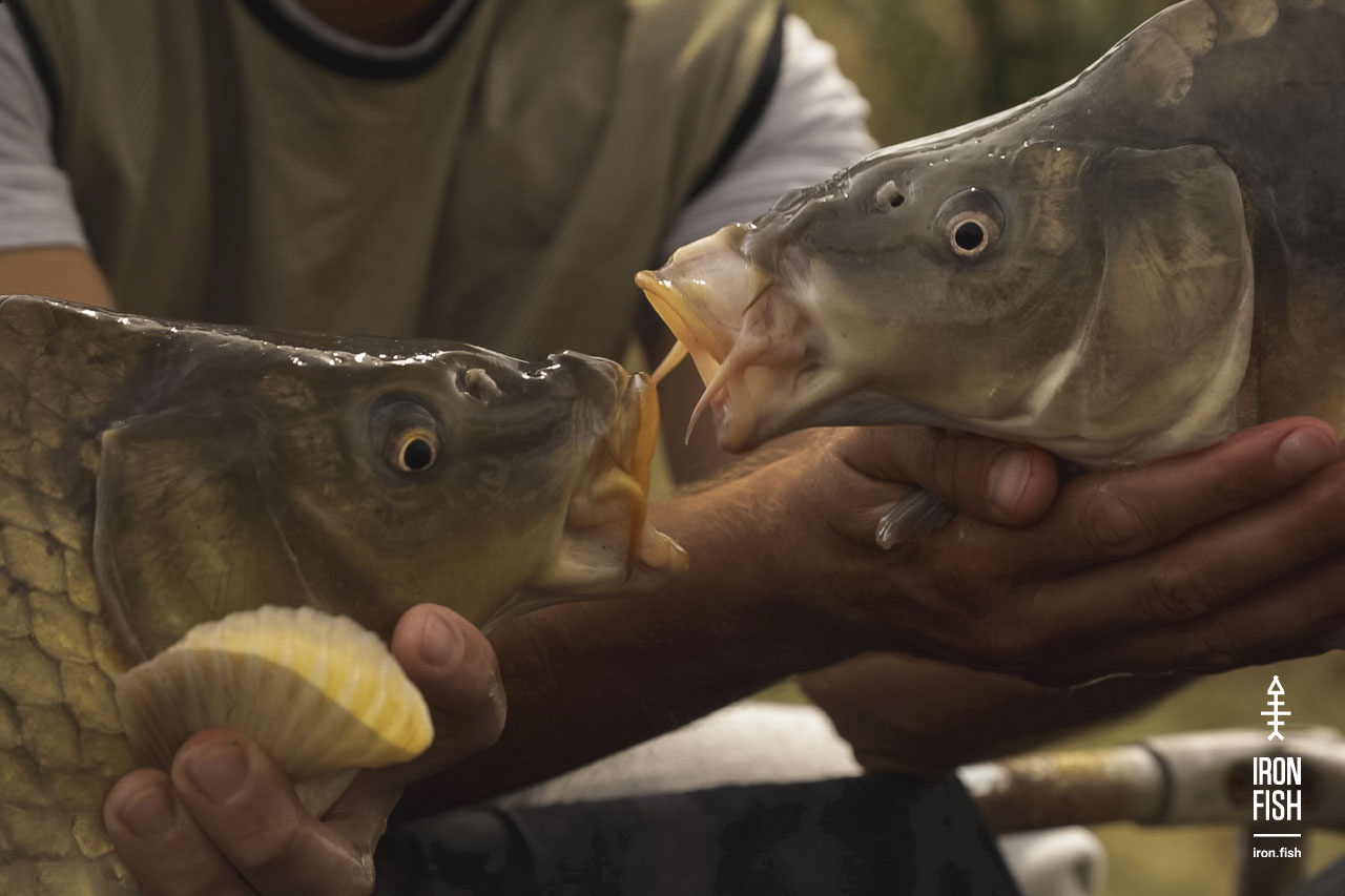 final_battle_2019__44