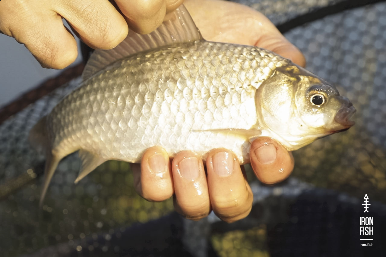 final_battle_2019__51