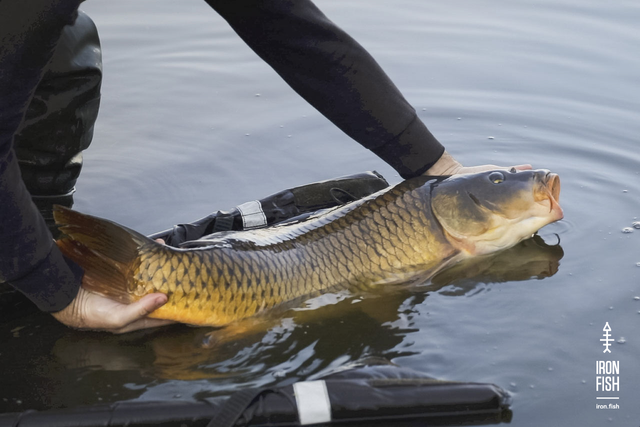 final_battle_2019__55