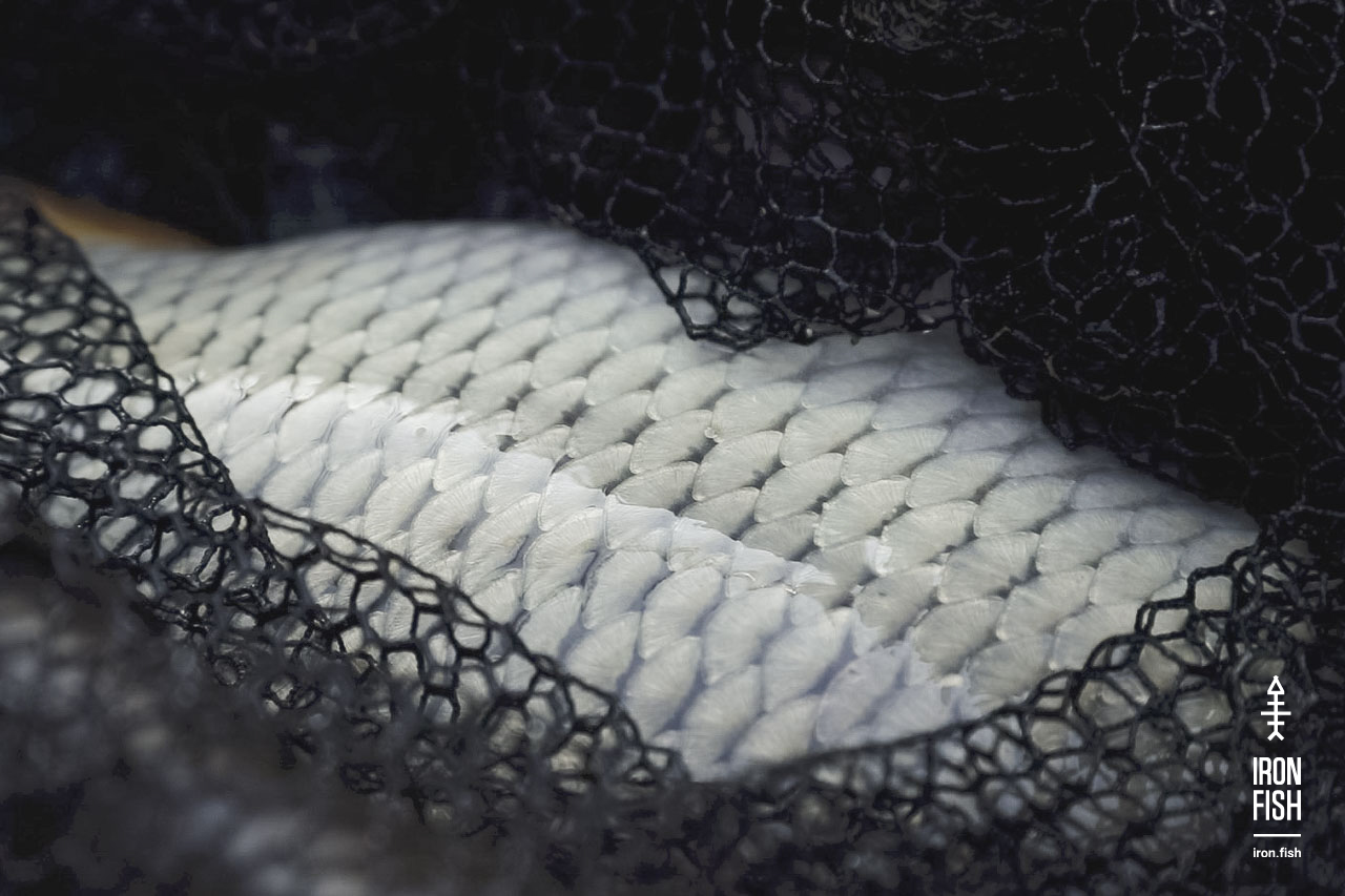 final_battle_2019__56