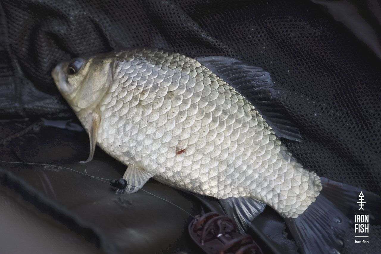 final_battle_2019__59